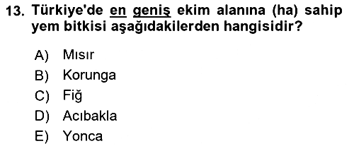 Tarla Bitkileri 2024-2025 Dönem Sonu Sınavı - 13. soru