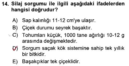 Tarla Bitkileri 2025-2026 Dönem Sonu Sınavı - 14. soru