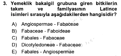 Tarla Bitkileri 2024-2025 Yaz Okulu Sınavı - 3. soru