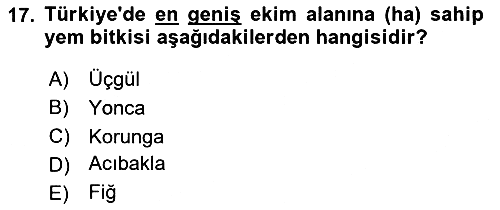 Tarla Bitkileri 2024-2025 Yaz Okulu Sınavı - 17. soru