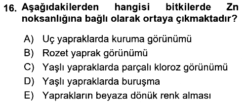 Toprak Bilgisi ve Bitki Besleme 2018-2019 3 Ders Sınavı - 16. soru