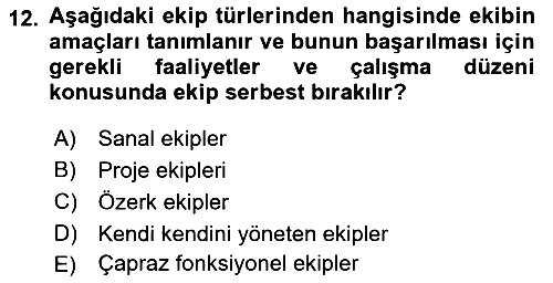 Sağlık Kurumları Yönetimi 2 2024-2025 Dönem Sonu Sınavı - 12. soru