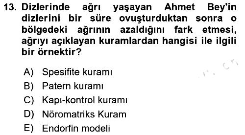 Sağlık Psikolojisi 2025-2026 Ara Sınav - 13. soru