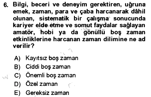 Rekreasyon Yönetimi 2023-2024 Yaz Okulu Sınavı - 6. soru