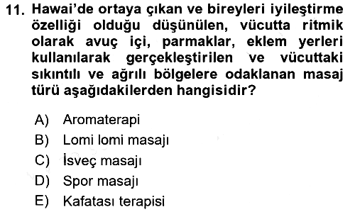 Termal ve Spa Hizmetleri 2017-2018 3 Ders Sınavı - 11. soru