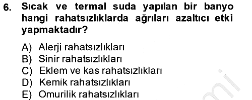 Termal ve Spa Hizmetleri 2012-2013 Ara Sınav - 6. soru