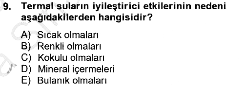 Termal ve Spa Hizmetleri 2012-2013 Ara Sınav - 9. soru