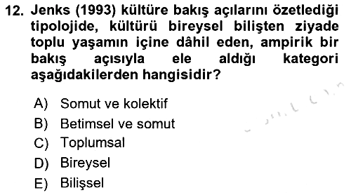 Toplum Temelli Turizm 2021-2022 Dönem Sonu Sınavı - 12. soru