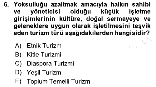 Toplum Temelli Turizm 2020-2021 Yaz Okulu Sınavı - 6. soru