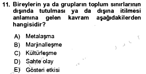 Toplum Temelli Turizm 2023-2024 Yaz Okulu Sınavı - 11. soru