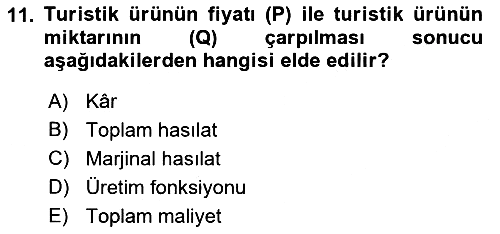 Turizm Ekonomisi 2022-2023 Ara Sınav - 11. soru