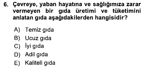 Turizmde Güncel Yaklaşımlar 2022-2023 Dönem Sonu Sınavı - 6. soru