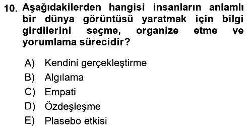 Turist Davranışı 2023-2024 Ara Sınav - 10. soru