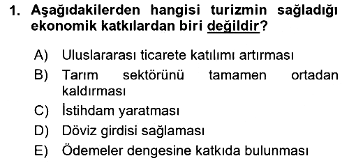 Alternatif Turizm 2024-2025 Dönem Sonu Sınavı - 1. soru