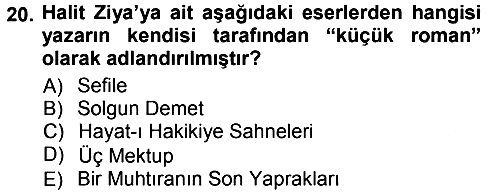 2. Abdülhamit Dönemi Türk Edebiyatı 2012-2013 Ara Sınav - 20. soru