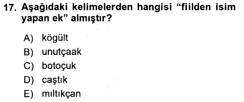 Çağdaş Türk Yazı Dilleri 2 2015-2016 Tek Ders Sınavı - 17. soru