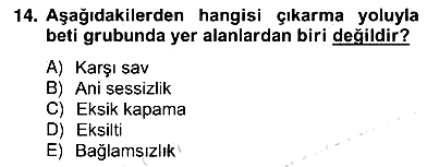 Eleştiri Kuramları 2012-2013 Ara Sınav - 14. soru