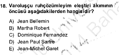 Eleştiri Kuramları 2013-2014 Ara Sınav - 18. soru