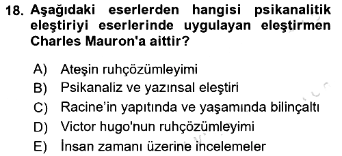 Eleştiri Kuramları 2025-2026 Ara Sınav - 18. soru