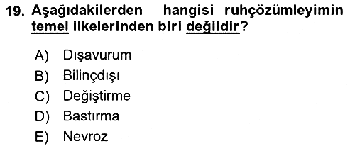 Eleştiri Kuramları 2025-2026 Ara Sınav - 19. soru
