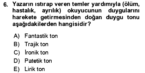 Eleştiri Kuramları 2021-2022 Dönem Sonu Sınavı - 6. soru