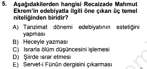Eleştiri Tarihi 2012-2013 Ara Sınav - 5. soru