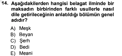Eleştiri Tarihi 2012-2013 Ara Sınav - 14. soru
