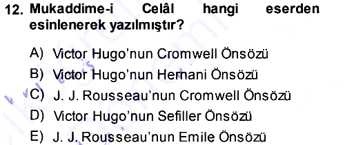 Eleştiri Tarihi 2013-2014 Ara Sınav - 12. soru