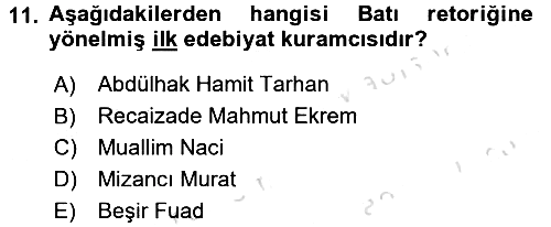Eleştiri Tarihi 2016-2017 Ara Sınav - 11. soru
