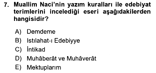 Eleştiri Tarihi 2019-2020 Ara Sınav - 7. soru
