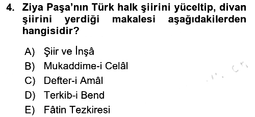 Eleştiri Tarihi 2024-2025 Ara Sınav - 4. soru