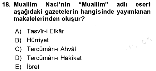Eleştiri Tarihi 2024-2025 Ara Sınav - 18. soru