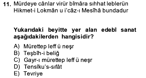 Eski Türk Edebiyatına Giriş: Söz Sanatları 2013-2014 Ara Sınav - 11. soru