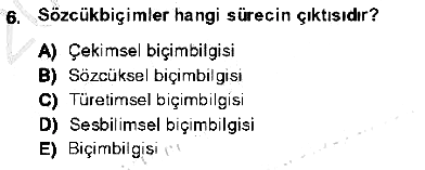 Genel Dilbilim 1 2013-2014 Ara Sınav - 6. soru