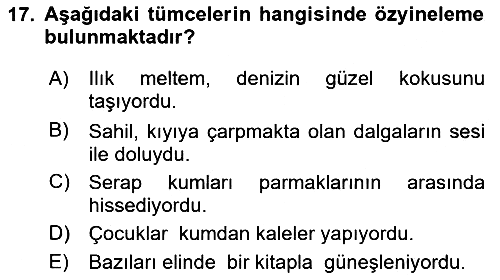 Genel Dilbilim 1 2025-2026 Dönem Sonu Sınavı - 17. soru