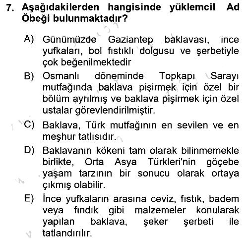 Genel Dilbilim 2 2023-2024 Ara Sınav - 7. soru
