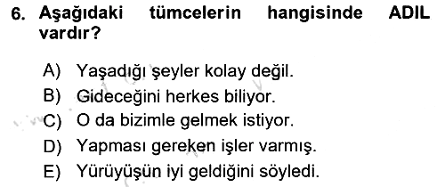 Genel Dilbilim 2 2024-2025 Ara Sınav - 6. soru