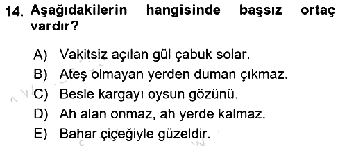 Genel Dilbilim 2 2020-2021 Yaz Okulu Sınavı - 14. soru
