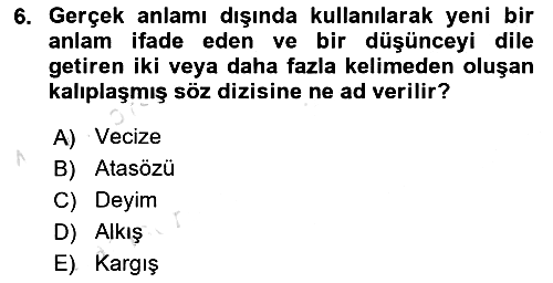 Halk Edebiyatına Giriş 1 2021-2022 Dönem Sonu Sınavı - 6. soru