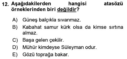 Halk Edebiyatına Giriş 1 2018-2019 Yaz Okulu Sınavı - 12. soru
