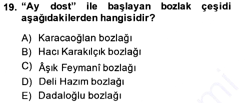 Halk Hikayeleri 2014-2015 Ara Sınav - 19. soru