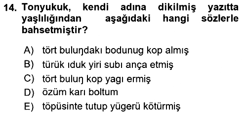 Orhun Türkçesi 2024-2025 Ara Sınav - 14. soru