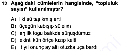 Orhun Türkçesi 2012-2013 Dönem Sonu Sınavı - 12. soru