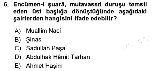 Tanzimat Dönemi Türk Edebiyatı 1 2025-2026 Ara Sınav - 6. soru