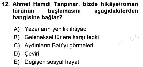 Tanzimat Dönemi Türk Edebiyatı 1 2024-2025 Dönem Sonu Sınavı - 12. soru
