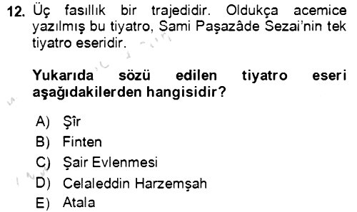 Tanzimat Dönemi Türk Edebiyatı 2 2021-2022 Ara Sınav - 12. soru