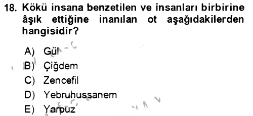 Türk Edebiyatının Mitolojik Kaynakları 2018-2019 Yaz Okulu Sınavı - 18. soru