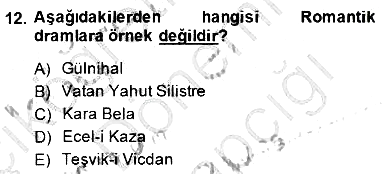 Türk Tiyatrosu 2014-2015 Ara Sınav - 12. soru
