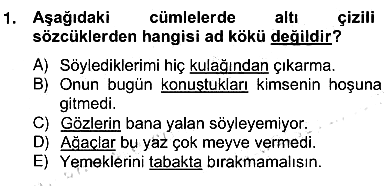 Türkçe Biçim Bilgisi 2013-2014 Ara Sınav - 1. soru
