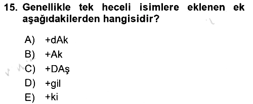 Türkçe Biçim Bilgisi 2024-2025 Yaz Okulu Sınavı - 15. soru